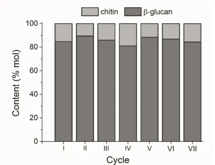 Figure 3.5 – Chitin:glucan molar ratio of the CGC produced in each cycle of the repeated fed-batch  Experiment C