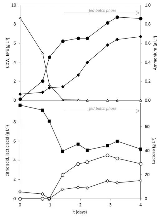 Figure 2.2: Cultivation proﬁle of  Enterobacter A47 using cheese whey as carbon source (( ) CDW; ( )  EPS concentration; ( ) ammonium concentration; ( ) lactose concentration; ( ) citric acid concentration; 