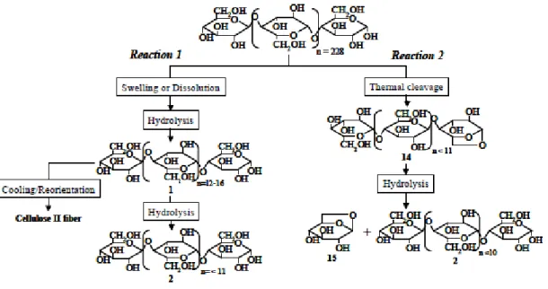 Figure 1.26: Reaction mechanism proposed for cellulose decomposition of microcrystalline cellulose in sub- and  supercritical water