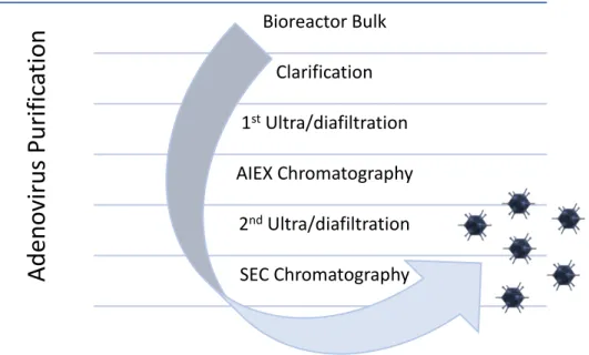 Figure 4 - Purification process for adenovirus using chromatography [7] 