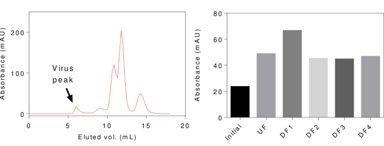 Figure 11 - HPLC-SEC assay for Ultra/Diafiltration (wavelength 280 nm)