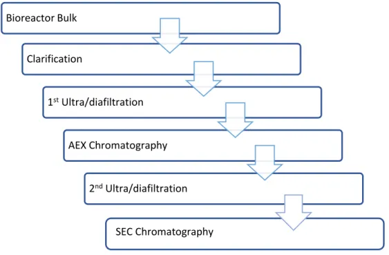 Figure 16 - Standard downstream processing train for adenovirus purification [7] 