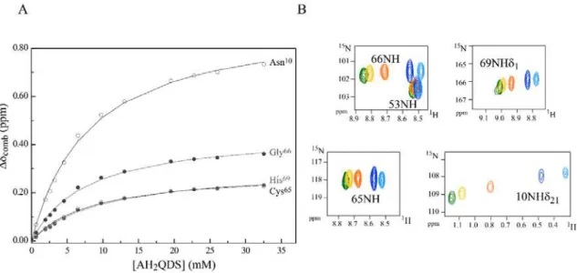 Fig 3.18 Binding isotherms for PpcA:AH 2 QDS interaction (A) and selected regions from overlaid 2D  1 H, 15 N  HSQC NMR spectra (B)