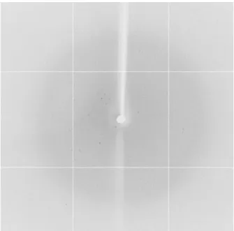 Figure 2.9. Diffraction pattern obtained at beamline BM30A (ESRF, France) for a ModA crystal