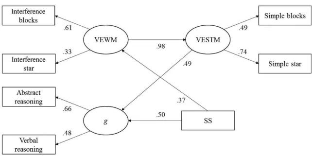 Figure  3.Standardized  regression  weights  and  factor  loadings  on  the  full  SEM  model  between                      processing speed, visuospatial short term memory, visuospatial WM and g