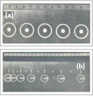 Figura 1. Fotografias estroboscópicas presentes no PSSC