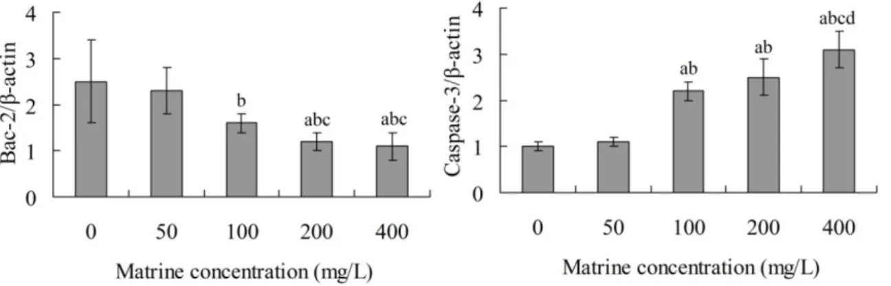 Figure 1. Effect of matrine on apoptosis of CNE-2 cells.  a P &lt; 0.05  compared with 0 mg/L matrine group;  b P &lt; 0.05 compared with 50 mg/L  matrine group;  c P &lt; 0.05 compared with 100 mg/L matrine group.