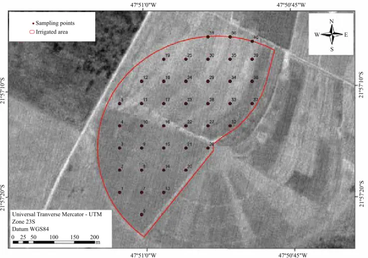 Figure 1. Location and sampling points for yield evaluation of irrigated corn (Zea mays) crop for silage in the municipality  of São Carlos, in the state of São Paulo, Brazil.