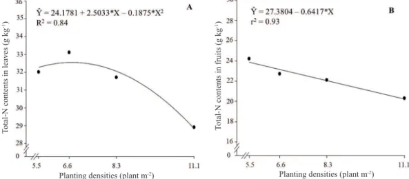 Figure 2. Total nitrogen contents in leaves (A) and fruits (B) of Rebeca tomato hybrid, as a function of planting densities.