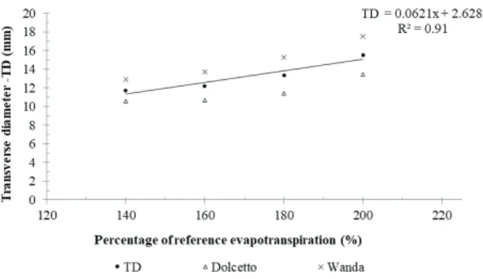 Figure 4. Behavior of the longitudinal fruit diameter of cherry  tomato hybrids, according to the irrigation levels.