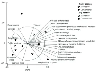 Figure 2. Canonical analysis of the principal coordinates based  on soil enzymatic activities and resilience scores of  agroecosystems, under ecological and conventional  management,  in  two  growing  seasons  of  coffee  plantations.