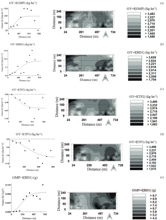 Figure 4. Cross-semivariogram and co-kriging map of soybean grain yield (GY), as a function of grain mass per plant (GMP; a),  soil bulk density determined by the ring method (BD1; b), total porosity TP2 [(1-BD1/PD1); c] and TP3 [(1-BD1/PD3); 