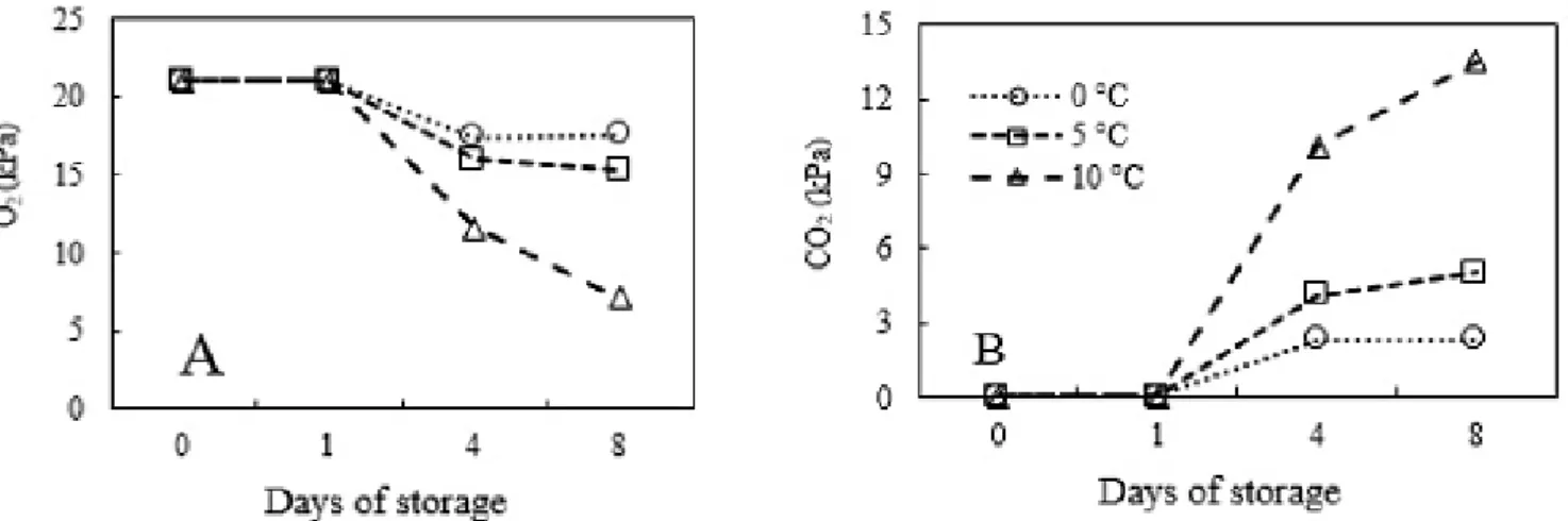 Figure 1.  Partial pressures of O 2  (Figure A) and CO 2  (Figure B) inside the storage packages of ‘Tupy’ blackberries  maintained at different temperatures.