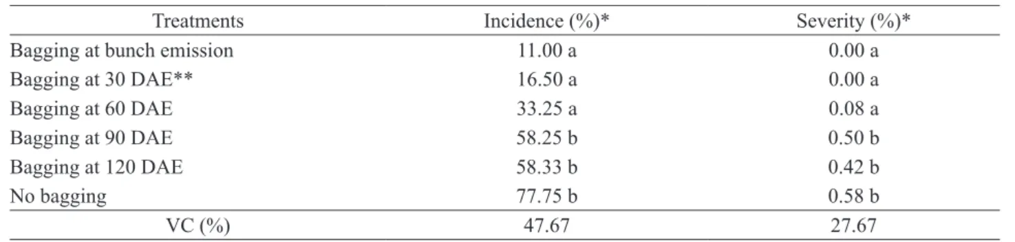 Table 1. Incidence (% of infected fruits) and severity (% of infected fruit area) of anthracnose in ‘Prata Anã’ banana submitted  or not to bagging at different periods