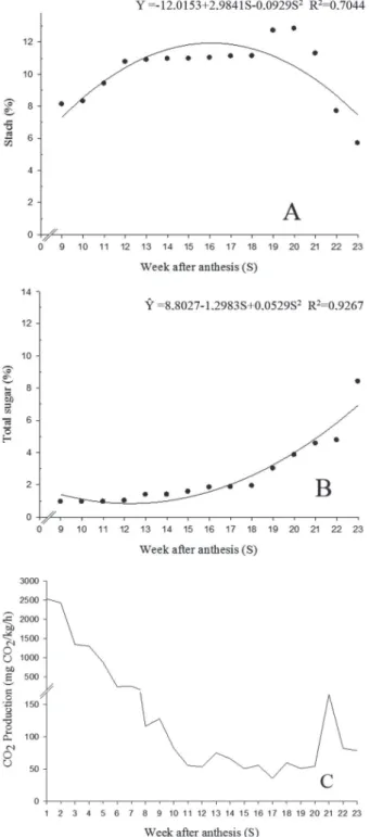 Figure 4: Observed and estimated values   of starch content (A), total sugars (B) in fresh pulp mass, and observed values   for CO 2 (C) production during development of ‘Ubá’ mango as a function of time (S).