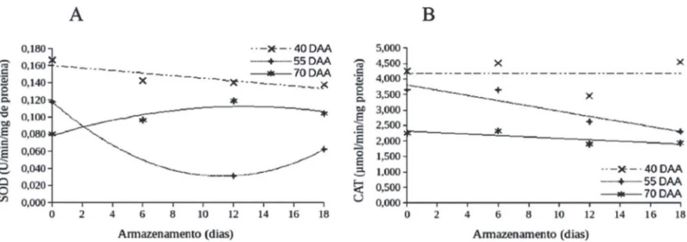 Figura 5: Atividade enzimática da superóxido dismutase (SOD) e catalase (CAT) em sementes de pimenta Malagueta, extraídas de frutos colhidos em diferentes estádios de maturação, em função do período de armazenamento pós-colheita frutos.