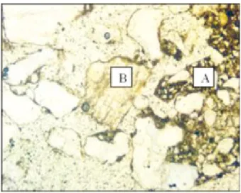 Figure 3 - Textural pedological crust feature in the coarse parent material (quartz), organic material and clay