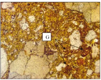 Figure 8 - Photomicrograph of porphyric microfissure porosity forming a prismatic structure