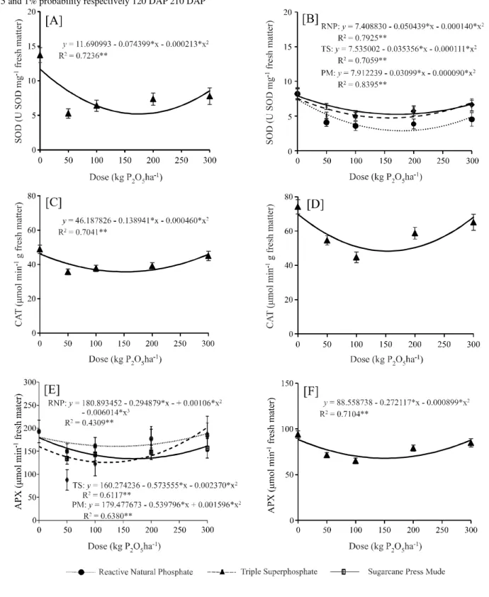 Figure 3 - Activity of the SOD (A, B), CAT (C, D) and APX (E, F) enzymes as a function of corrective phosphate application with doses and sources of varying solubility, at 120 and 210 DAP