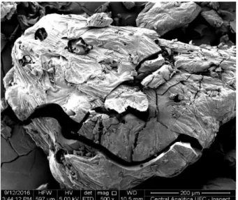 Figure 2 - SEM (Scanning Electron Microscopy) of maltodextrin DE at 500x magnification