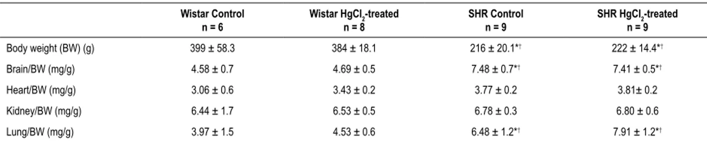 Table 1 – Body Weight (BW), Brain/BW, Heart/BW, Kidney/BW, Lung/BW, Adrenals/BW, Spleen/PC and Liver/PC from HgCl 2 -treated and  non-treated Wistar rats and spontaneously hypertensive rats (SHRs)