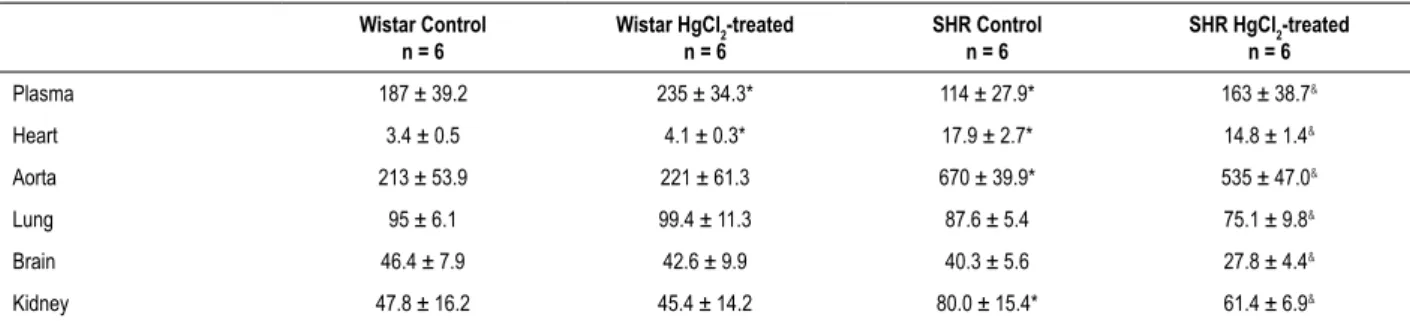 Table 5 – Angiotensin converting enzyme (ACE) activity levels in plasma, heart, aorta, lung, brain and kidney of untreated and Mercury  (HgCl 2 )-treated Wistar rats and spontaneously hypertensive rats (SHRs)