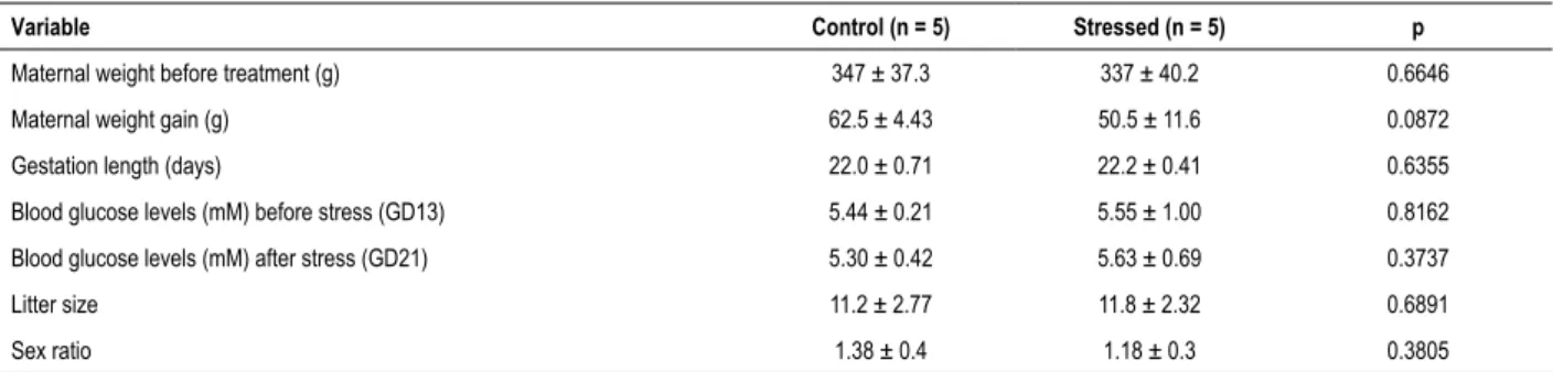 Table 3 – Maternal weight before treatment, maternal weight gain during last week of pregnancy (GD13-GD21), gestation length, maternal  blood glucose level before and after stress exposure, litter size, and sex ratio