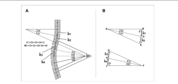 Figure 3. (a) Schematic demonstration of the scoliosis arc and its Cobb angle equivalence (MC) and the  respective angles R1, R2, R3 and R4, which together form the angle MR of the present method; (b) geometric  demonstration of the equivalence of angles C