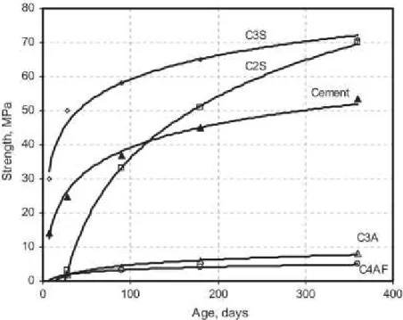 Figura 2.14 – Evolução temporal da influência dos componentes do clínquer na resistência do cimento  [10] 