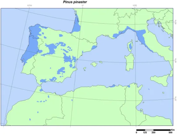 Figura 1.2: Distribuição natural de Pinus pinaster[5]. As áreas assinalada a azul são  correspondentes  aos pinheiros da espécie Pinus Pinaster.