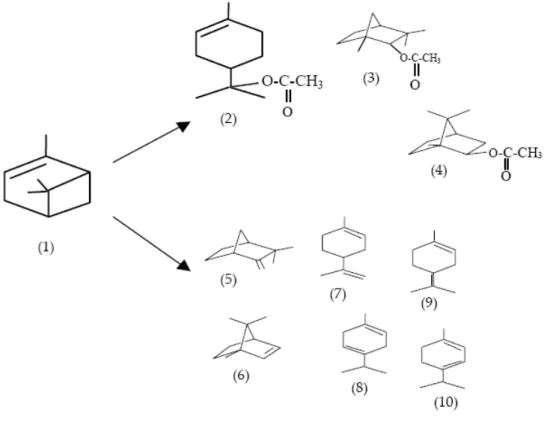 Figura 1.4: Reacção de acetoxilação/isomerização de  α -pineno [4, 9]. 