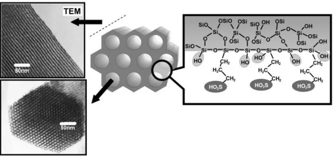 Figura 1.8: Sílica mesoestruturada com grupos de ácido sulfónico[40]. 