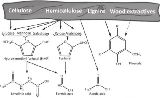 Figure 1.7  –  Degradation products of cellulose, hemicellulose and lignin. 42