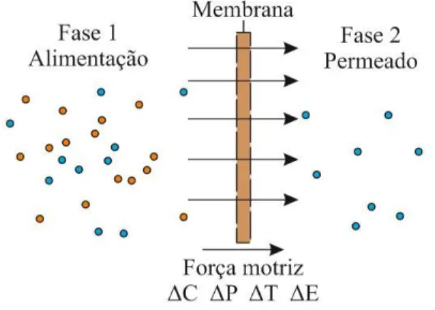 Figura 1.6 - Representação do esquema de duas fases separadas por uma membrana adaptado de  Mulder, (1996) 
