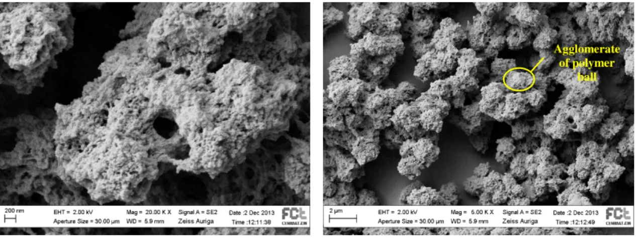 Figure III.14 and Figure III.15 show the SEM analysis for the PE4A/AP proportion of 50/50