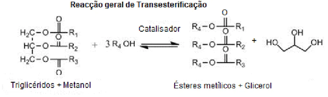 Figura 1.1-Reacção geral de transesterificação. Fonte: Adaptado de [3]. 