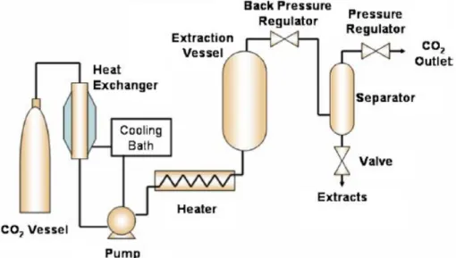 Figure 24 - Schematic diagram of a typical supercritical fluid extractor with a single separator