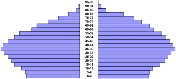 Gráfico 0.1. Pirâmide Etária, Europa, 2008 (Eurostat: 2008) 