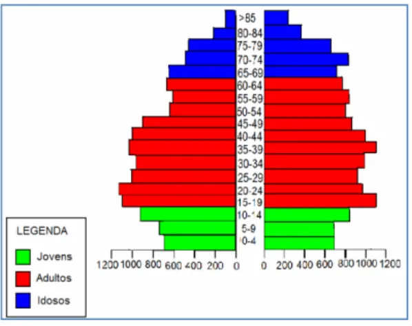 Figura 4.1. Pirâmide etária 
