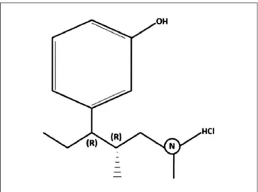 Figura 1. Fórmula molecular C 14 H 23 NO.HCl 4