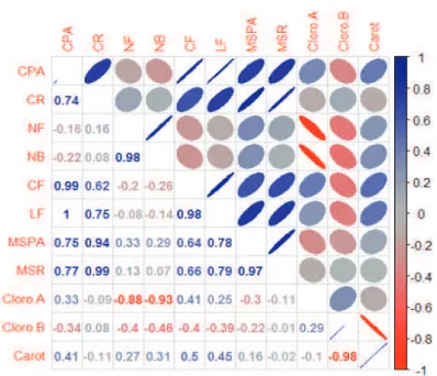 Figure 2.  Pearson’s correlation coeffi cients between the variables, length of the shoot (CPA), root length (CR),  number of leaves (NF), number of buds (NB), leaf length (CF), leaf width (LF), dry mass of the shoot (MSPA),  root dry mass (MSR), chlorophy