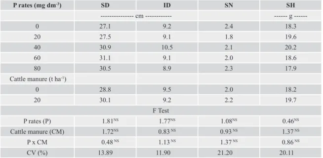 Table 3.  Shoot diameter (SD), inflorescence mean diameter (ID), mean stem number (SN) and stem weight (SH) of potted  gerbera, under doses of phosphorus and use of cattle manure.