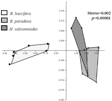 Figure 1.  Non-metric multidimensional scaling (NMDS) diagram that represents the ordination of groups  based on the Nitrogen Use efficiency (NUE) indexes of the cactus species Rhipsalis baccifera, R