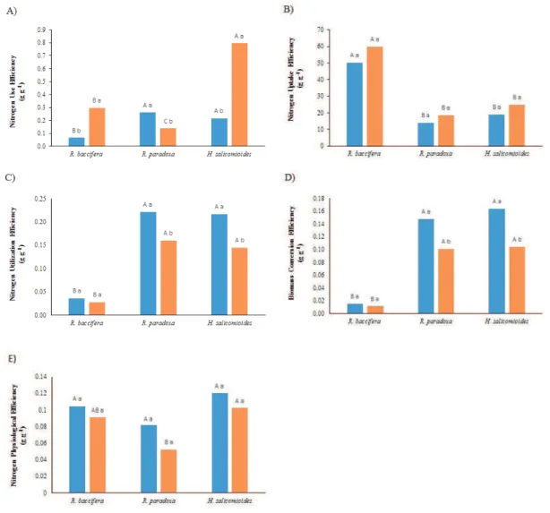 Figure 2.  Means of variables: A) Nitrogen Use Efficiency (NUE), B) Nitrogen Uptake efficiency (NUpE), C)  Nitrogen Utilization Efficiency (NUtE), D) Biomass Conversion Efficiency (BCE) and E) Nitrogen Physiological 