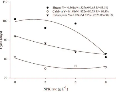Figure 2. Stem length (cm) as a function of NPK rates applied in cultivation of chrysanthemum   plants of Indianapolis, Calabria and Sheena varieties.
