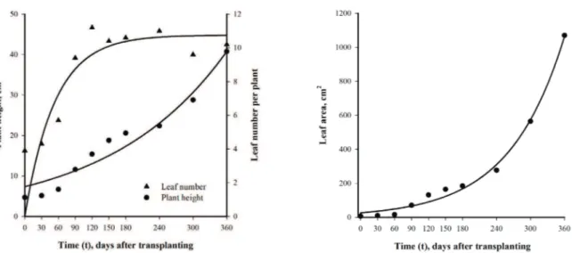 Figure 1. Foliage anthurium (Anthurium maricense) height, leaf number (1A) and leaf area   (1B) over 360 days of cultivation in pots