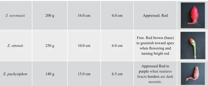 Table 4.   cont.