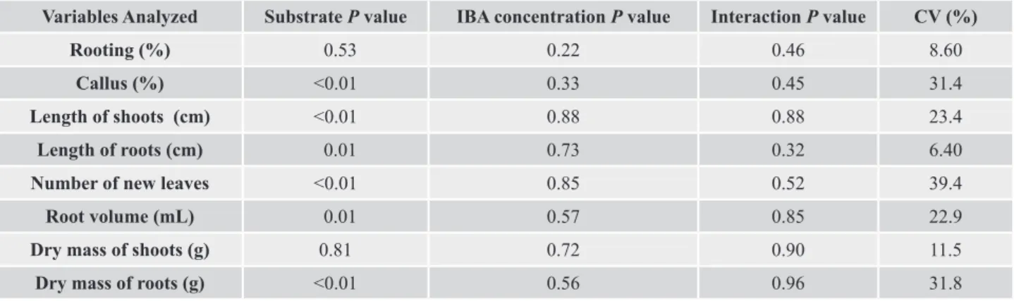Table 1. Analysis of variance of the cutting of Angelonia integerrima Sprengel, submitted to different concentrations of  IBA and substrates.