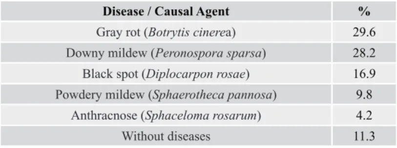 Table 8. Main diseases found in rose crop and percentage of companies that reported each disease.