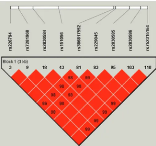 Figure 3. Linkage disequilibrium of the 9 SNPs in ADAMTS5 gene.